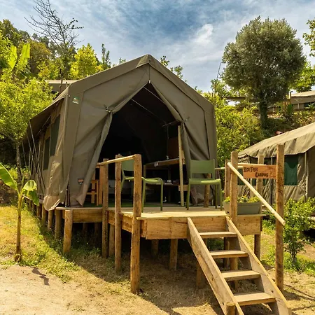 Safari Glamping Portugal Tiger *