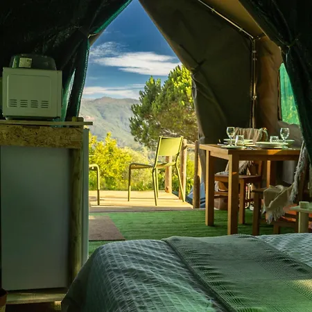 Safari Glamping Portugal Tiger