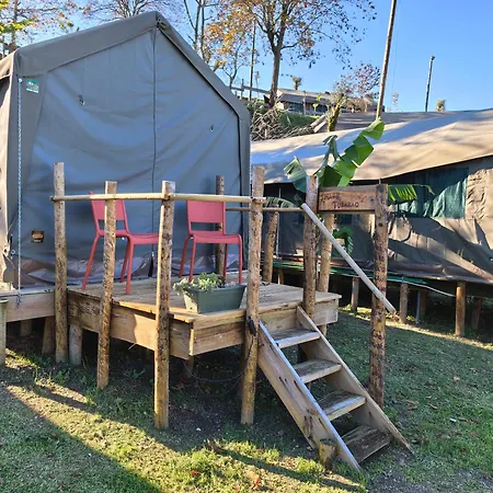 Safari Glamping Portugal Tiger Luxussátor *